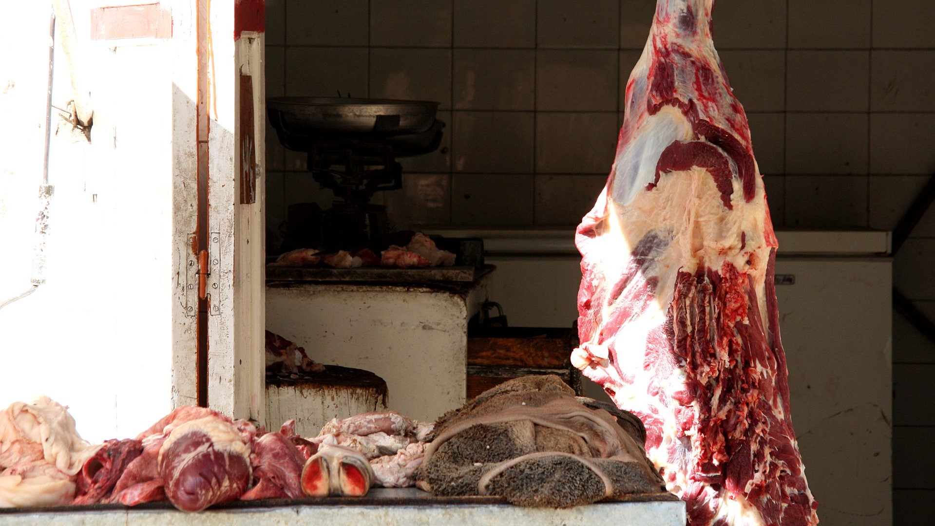 Aegypten-Metzgerei in Assuan-IMG_8902