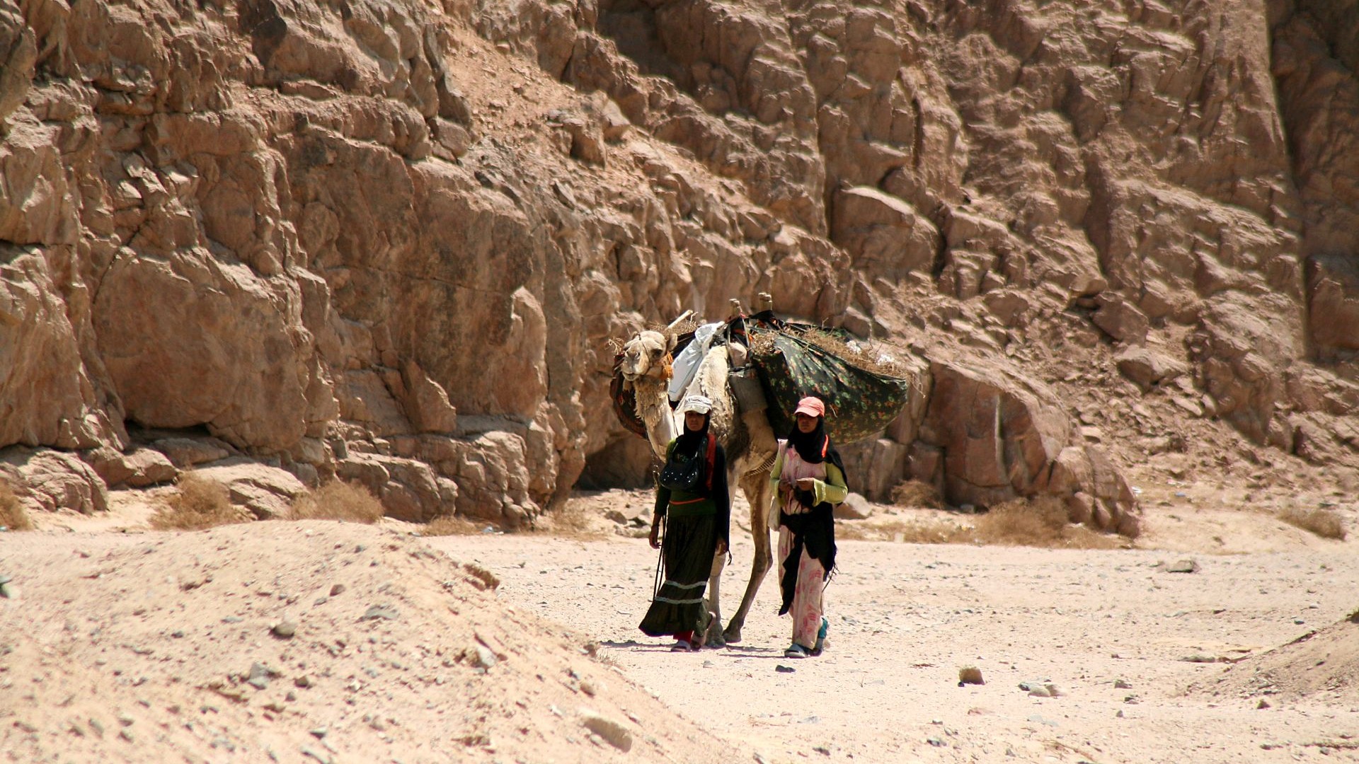 Aegypten-unterwegs-IMG_8286