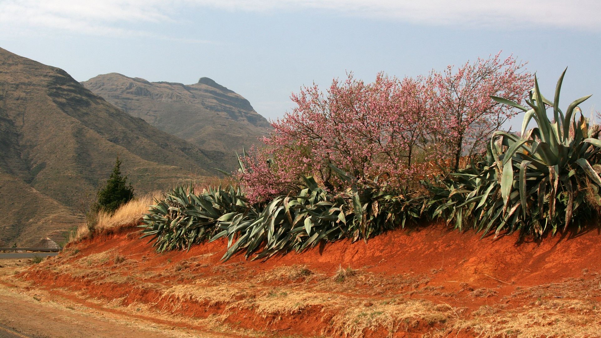 Lesotho-in den Bergen-IMG_1766