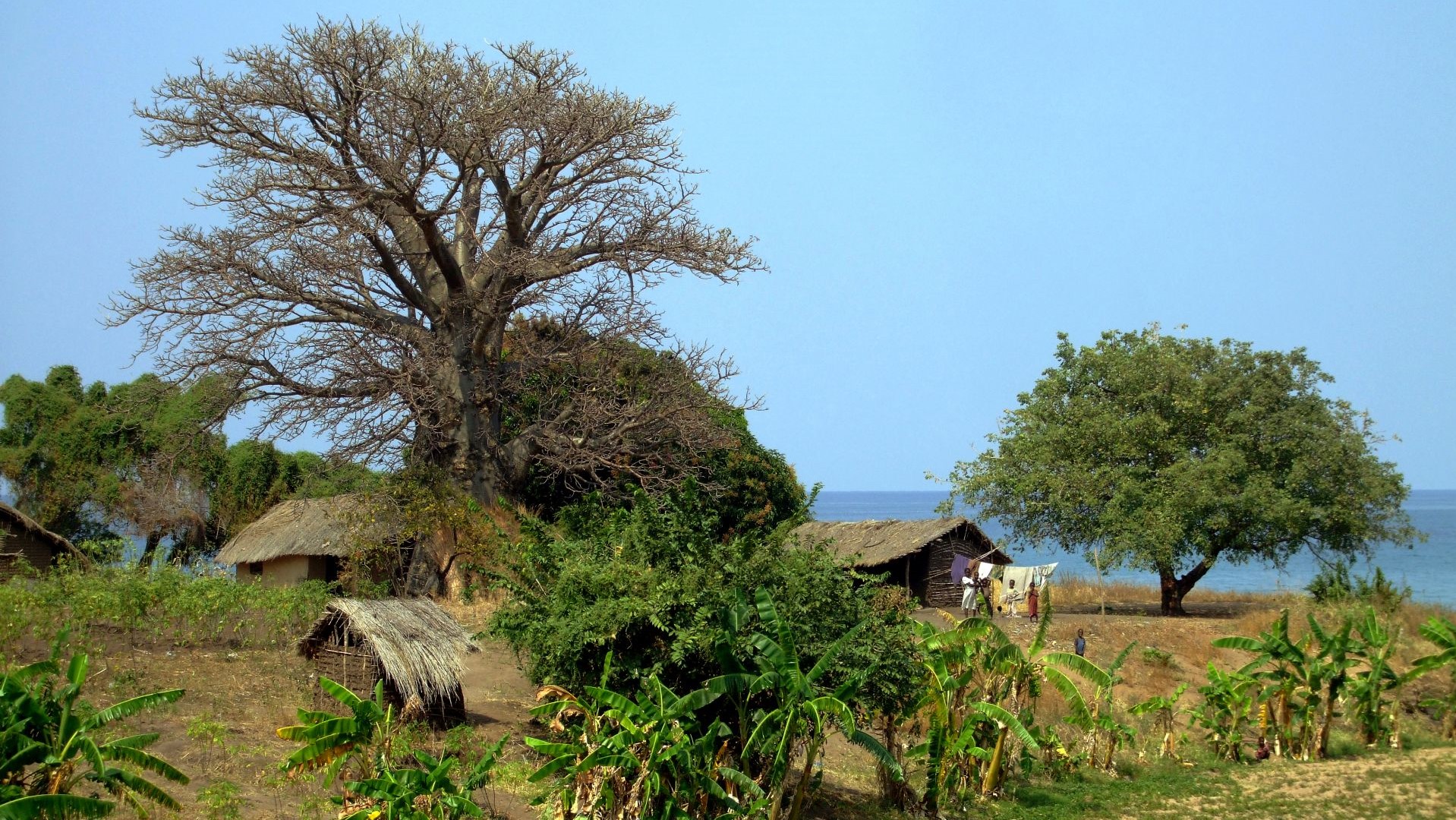 Malawi-am Malawisee-DSCF7796