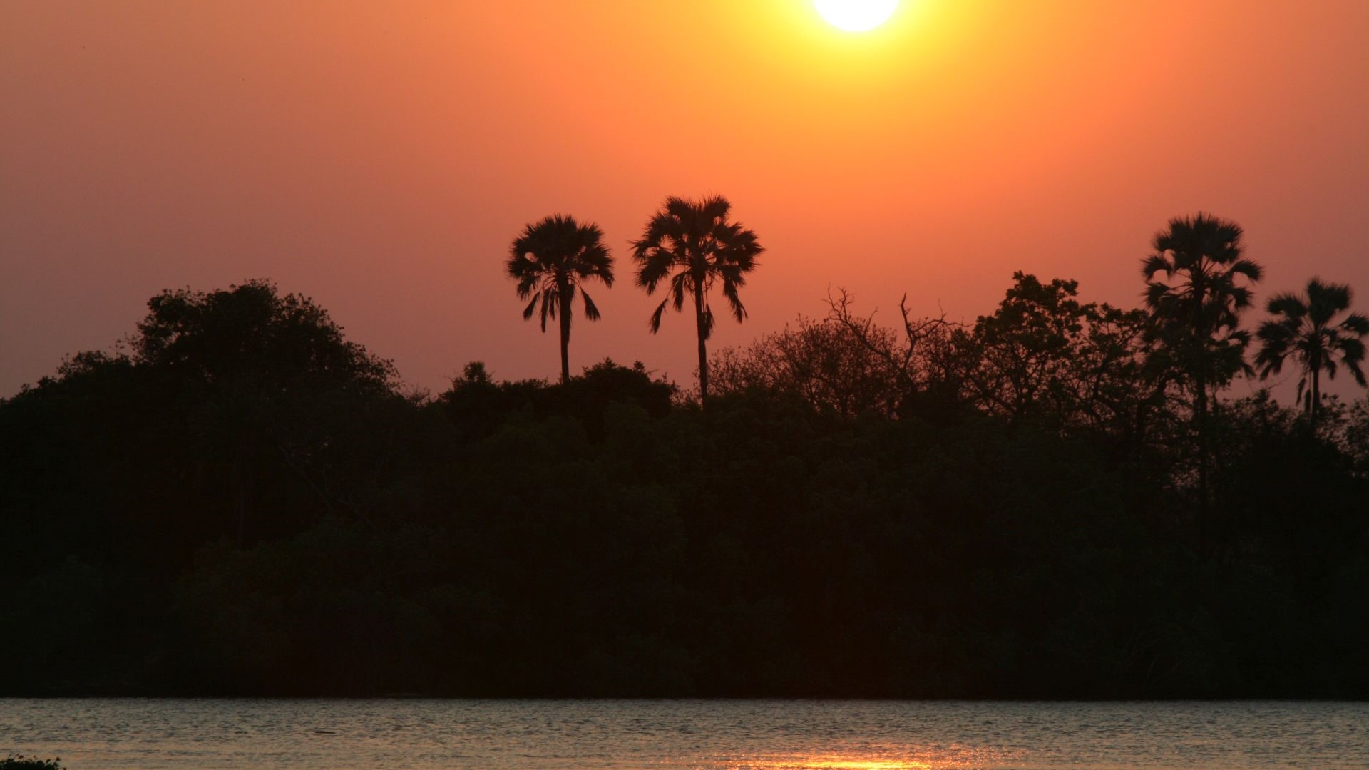 Sambia-Am Sambesi-IMG_7981