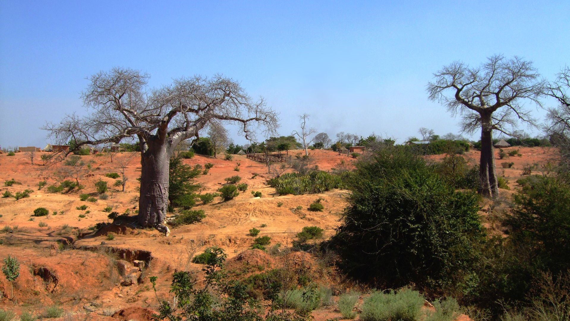 Sambia-DSCF8110-landschaft