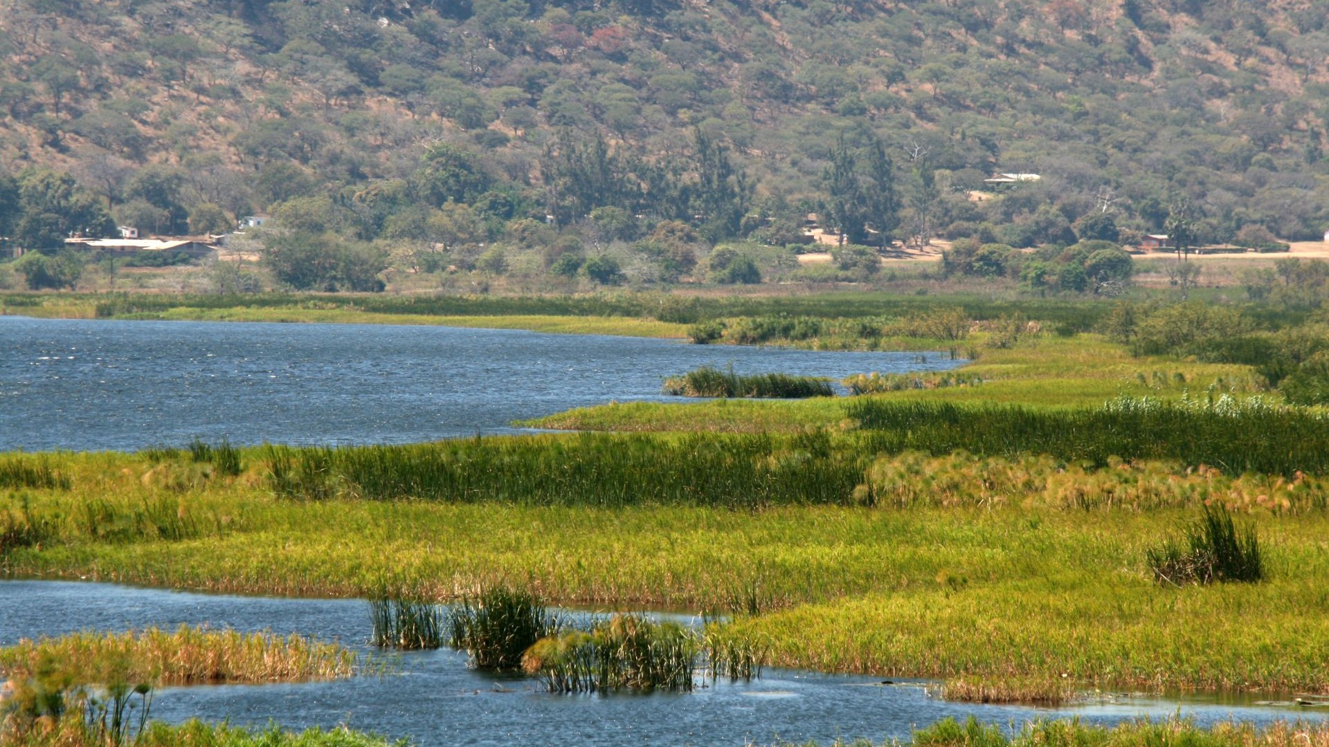 Sambia-Kafue-IMG_6608