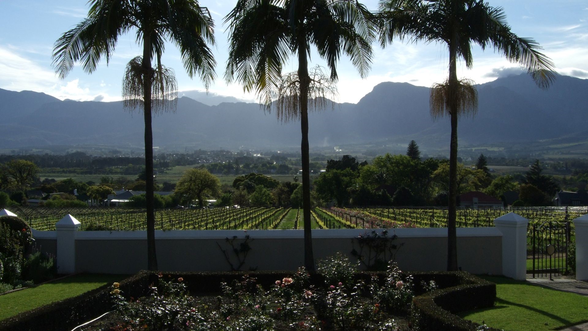 Suedafrika-Blick vom Hotel in Paarl-DSCF0241
