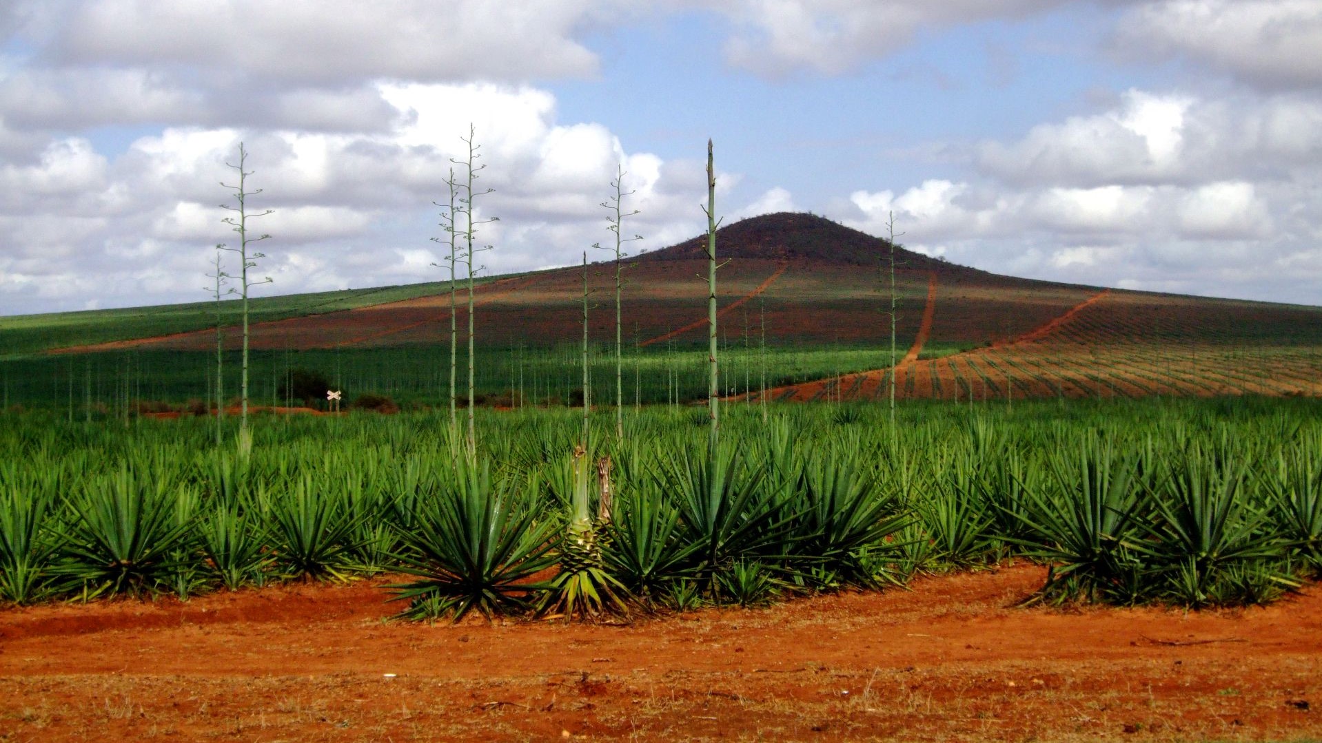 Tansania-DSCF7612-landschaft