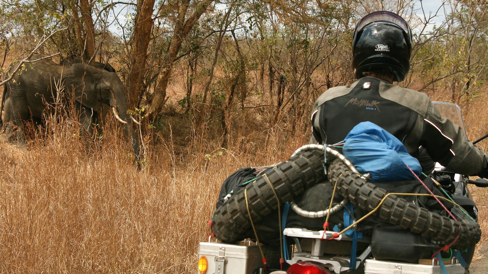 Tansania-Elefanten in Sicht-IMG_5091