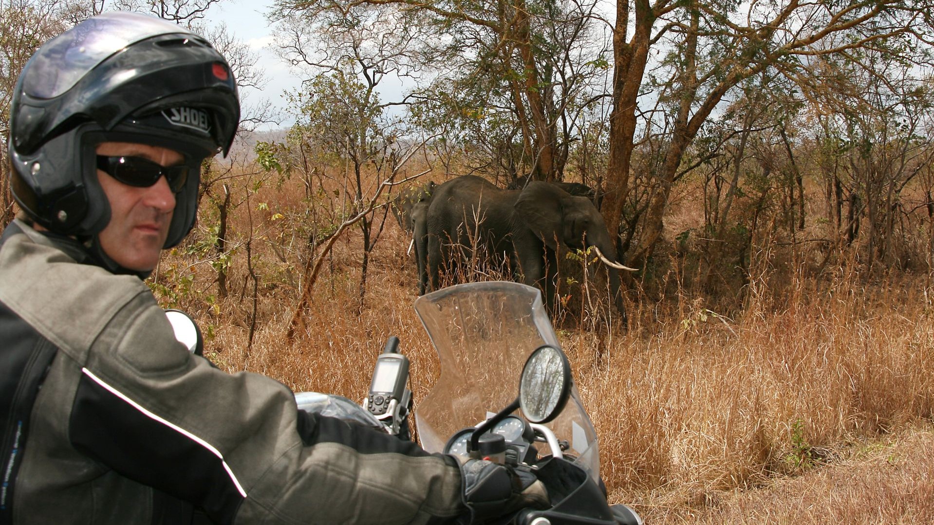 Tansania-Elefanten in Sicht-IMG_5096