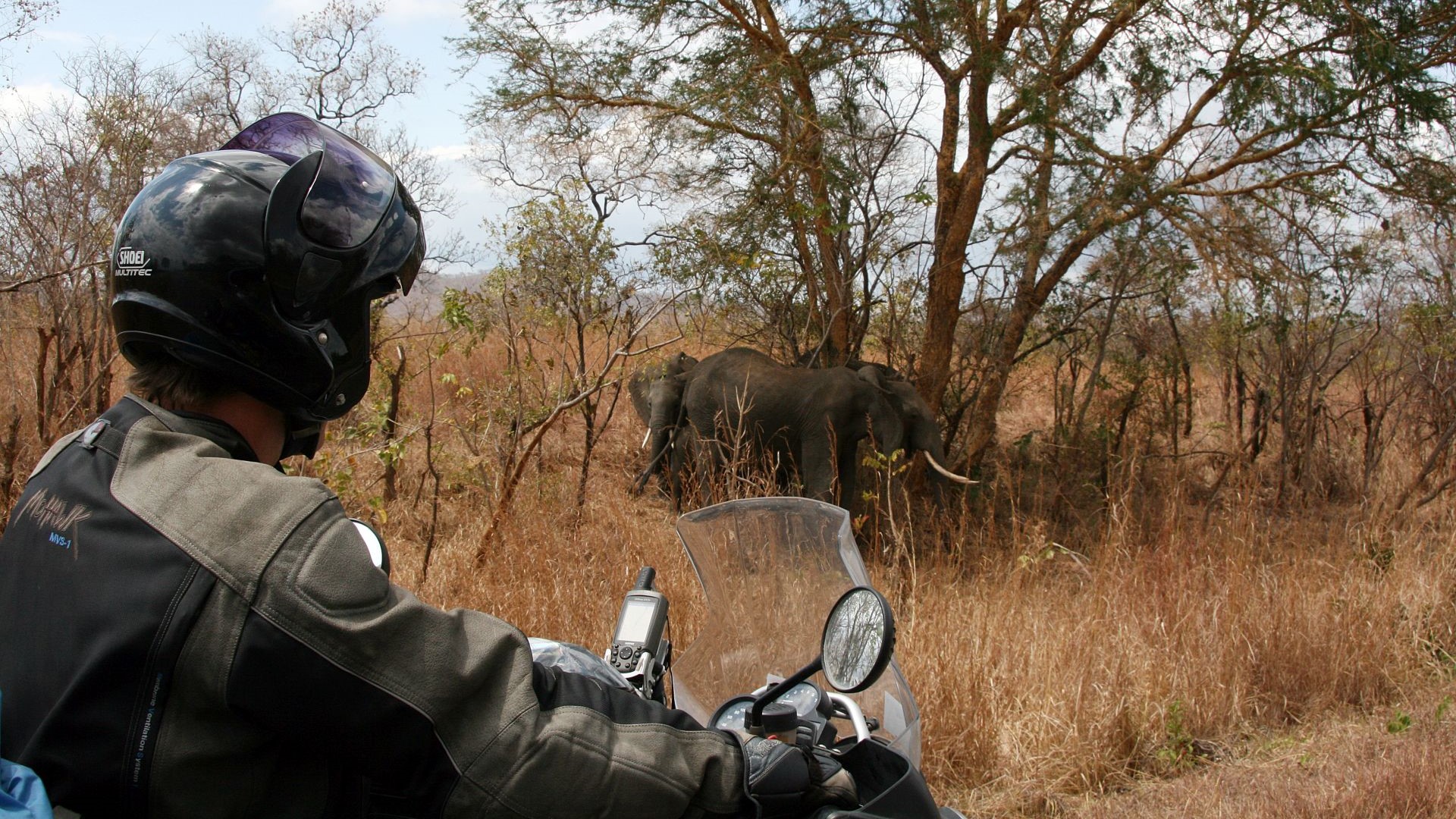 Tansania-Elefanten in Sicht-IMG_5099