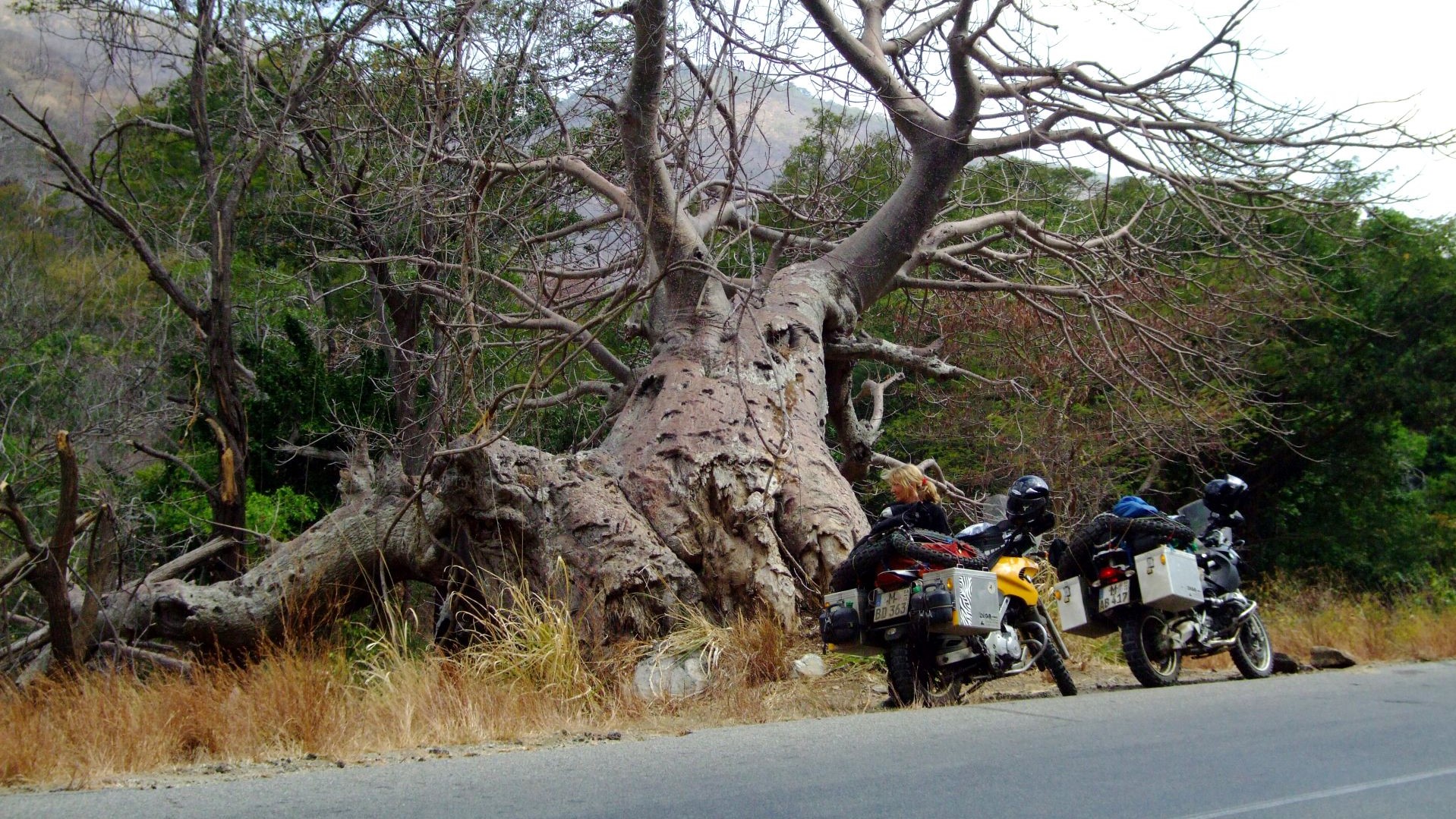 Tansania-vor einem Baobab-DSCF7740