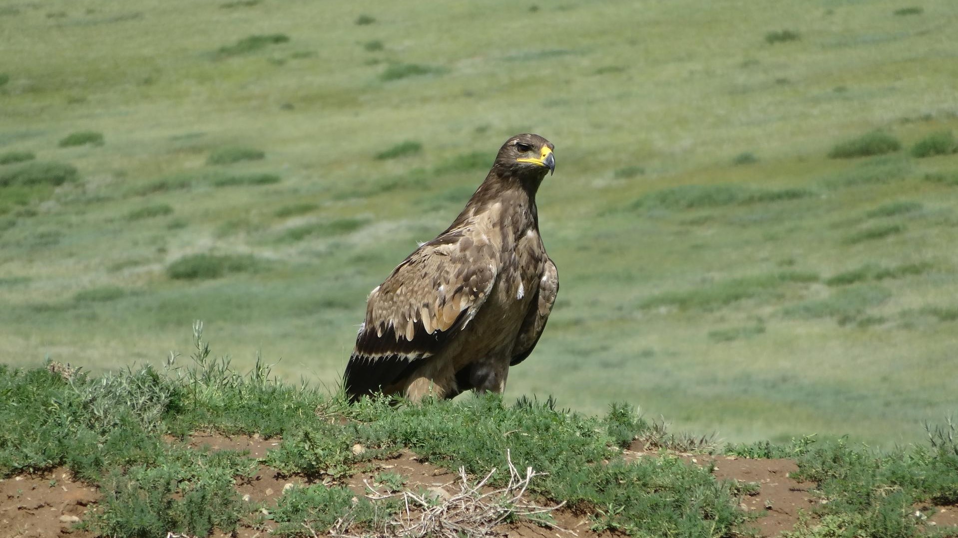 ???????????????????????????????????????????????????