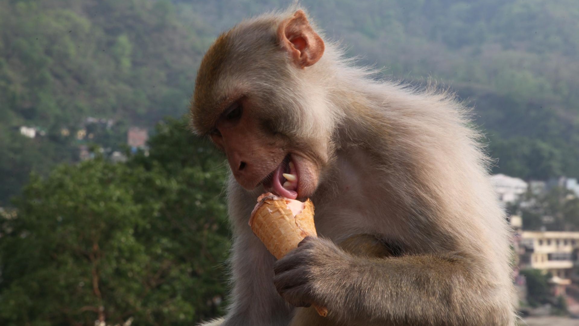 ???????????????????????????????????????????????????