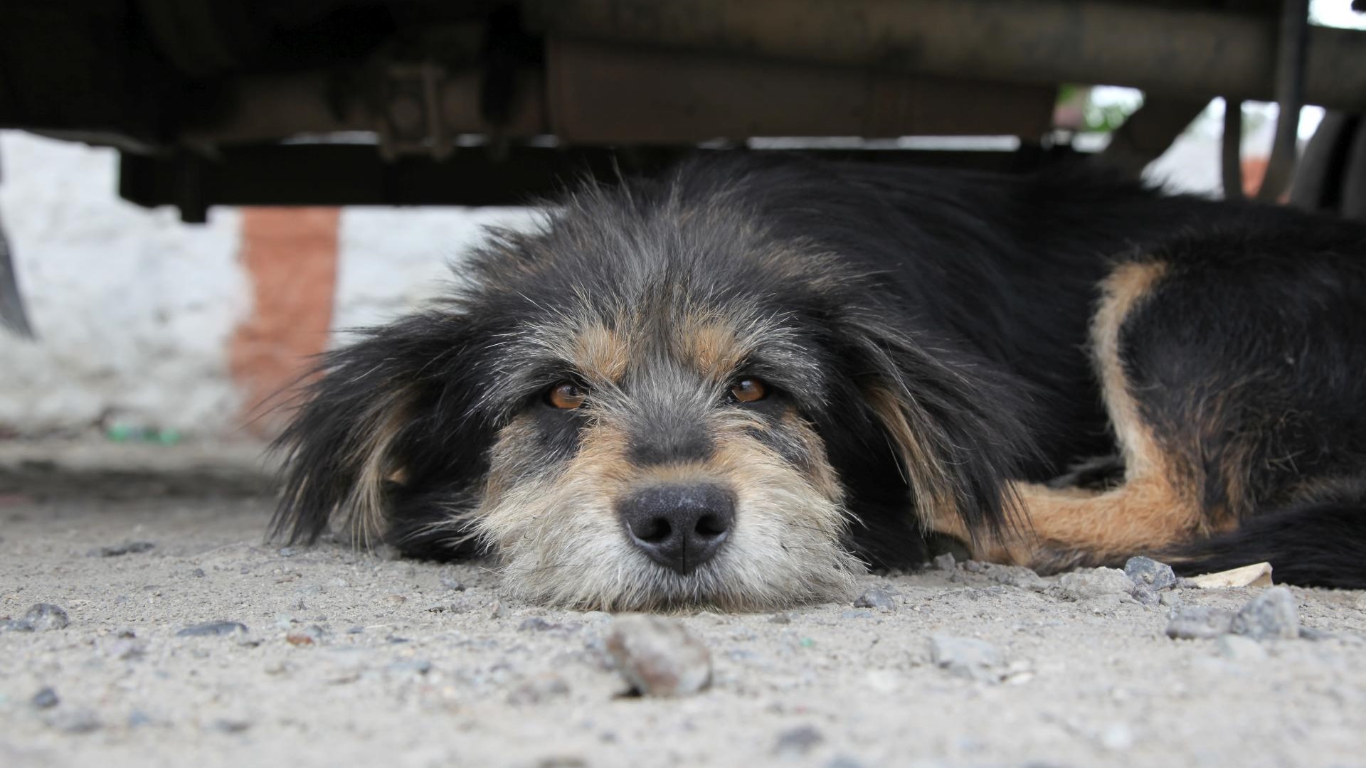 ???????????????????????????????????????????????????