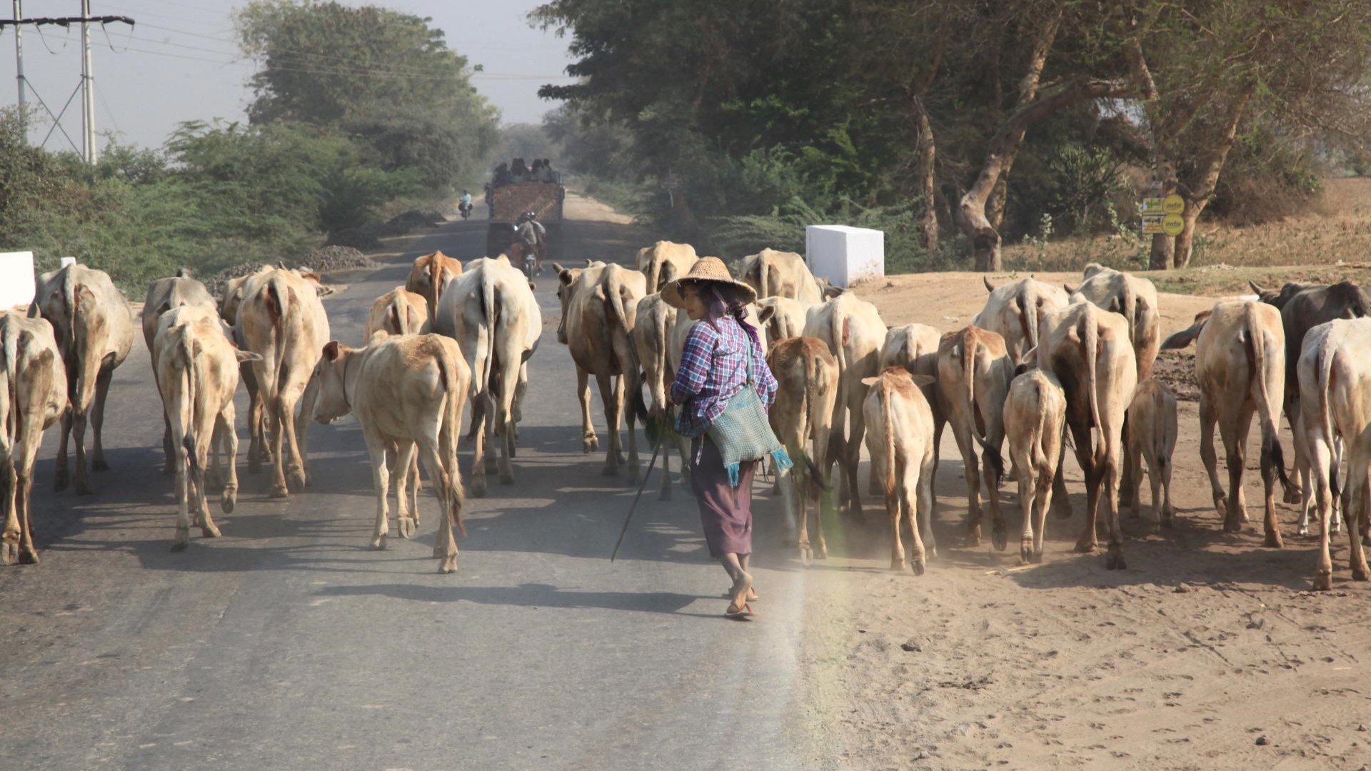 ???????????????????????????????????????????????????