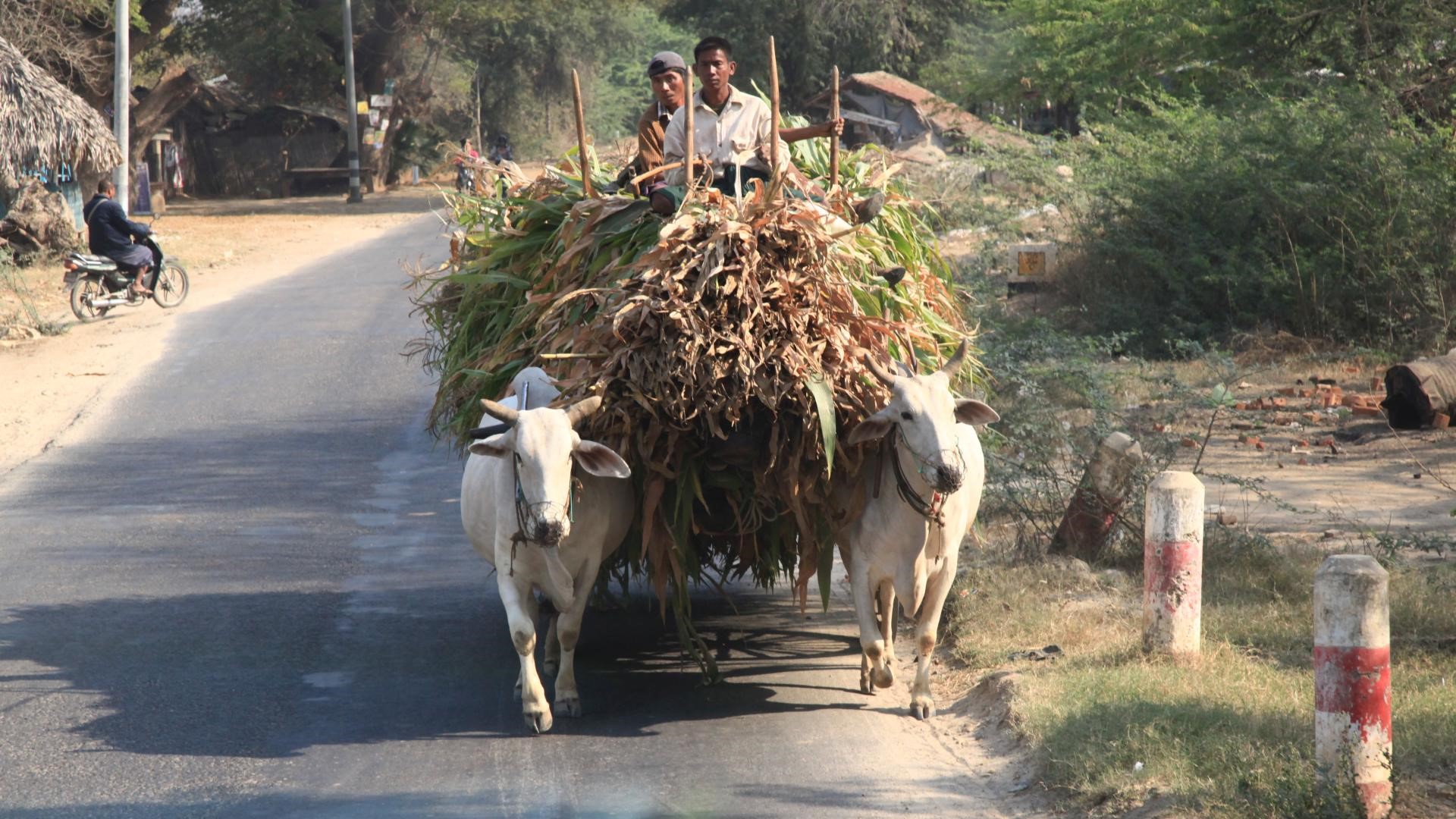 ???????????????????????????????????????????????????