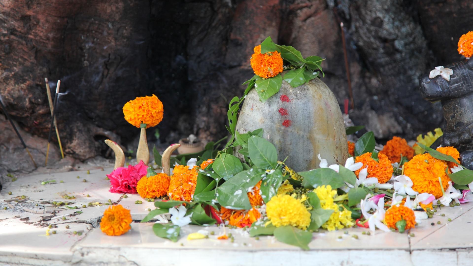 ???????????????????????????????????????????????????