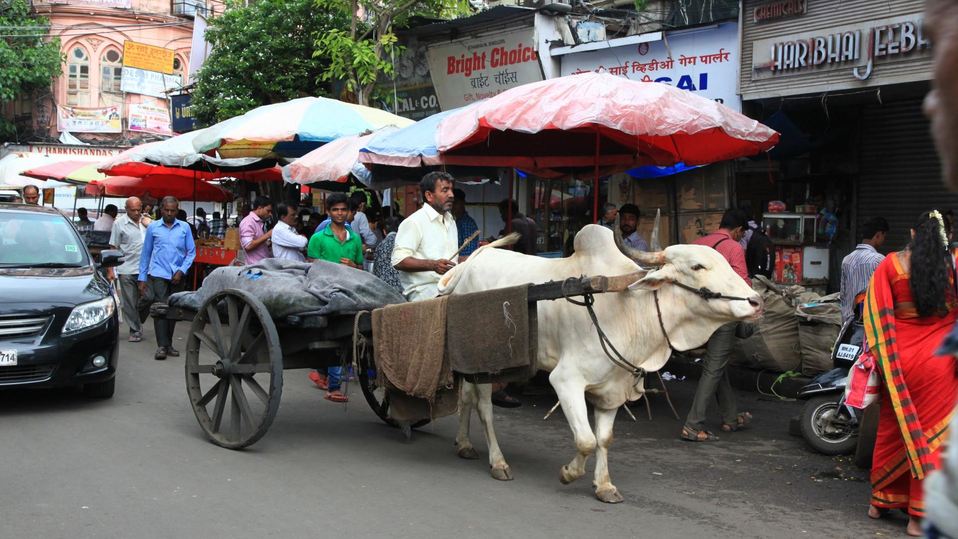 ???????????????????????????????????????????????????