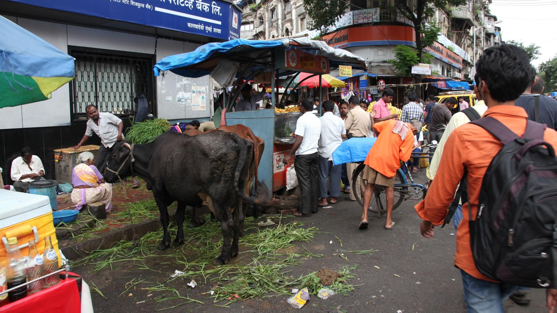 ???????????????????????????????????????????????????