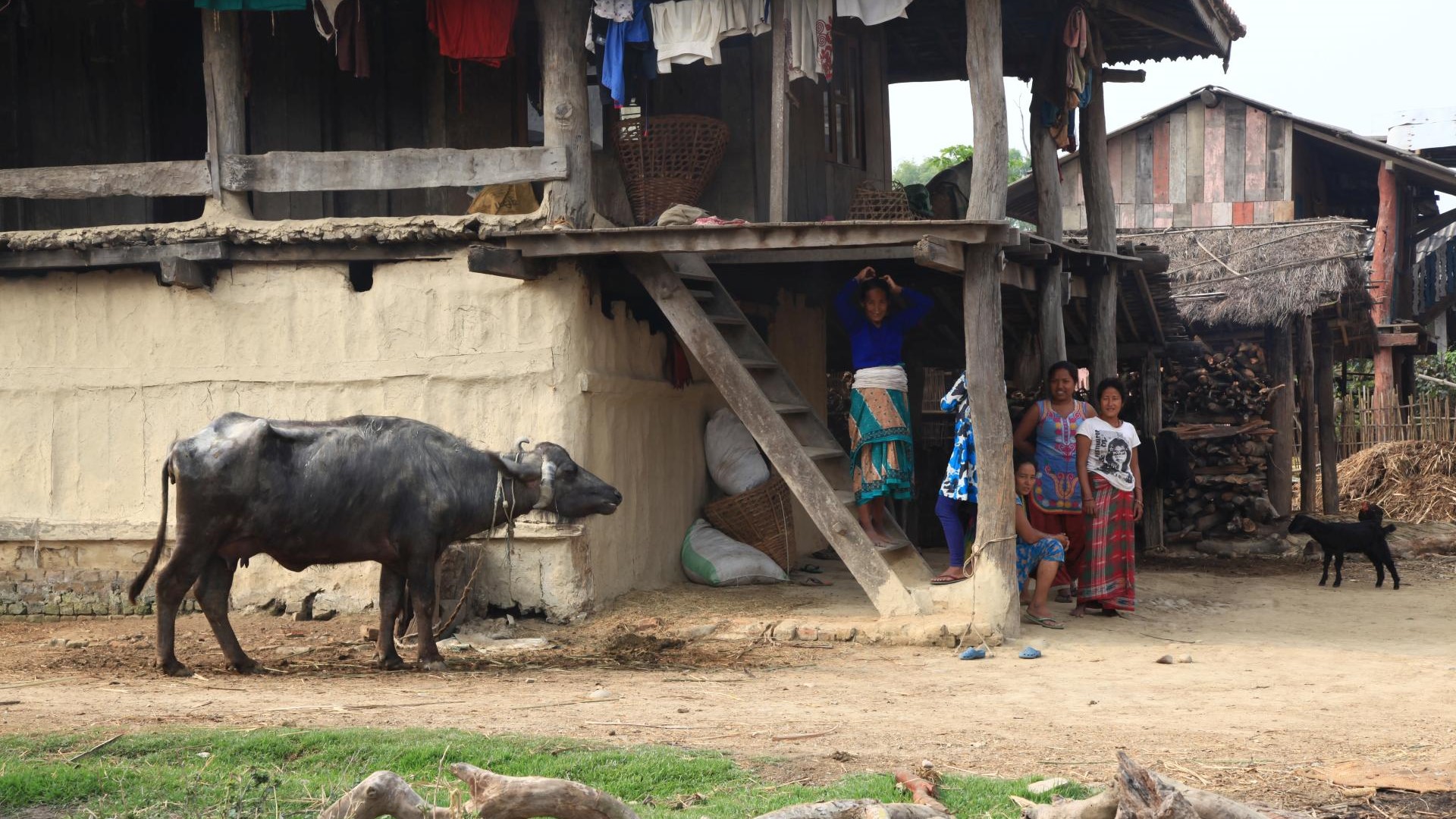 ???????????????????????????????????????????????????