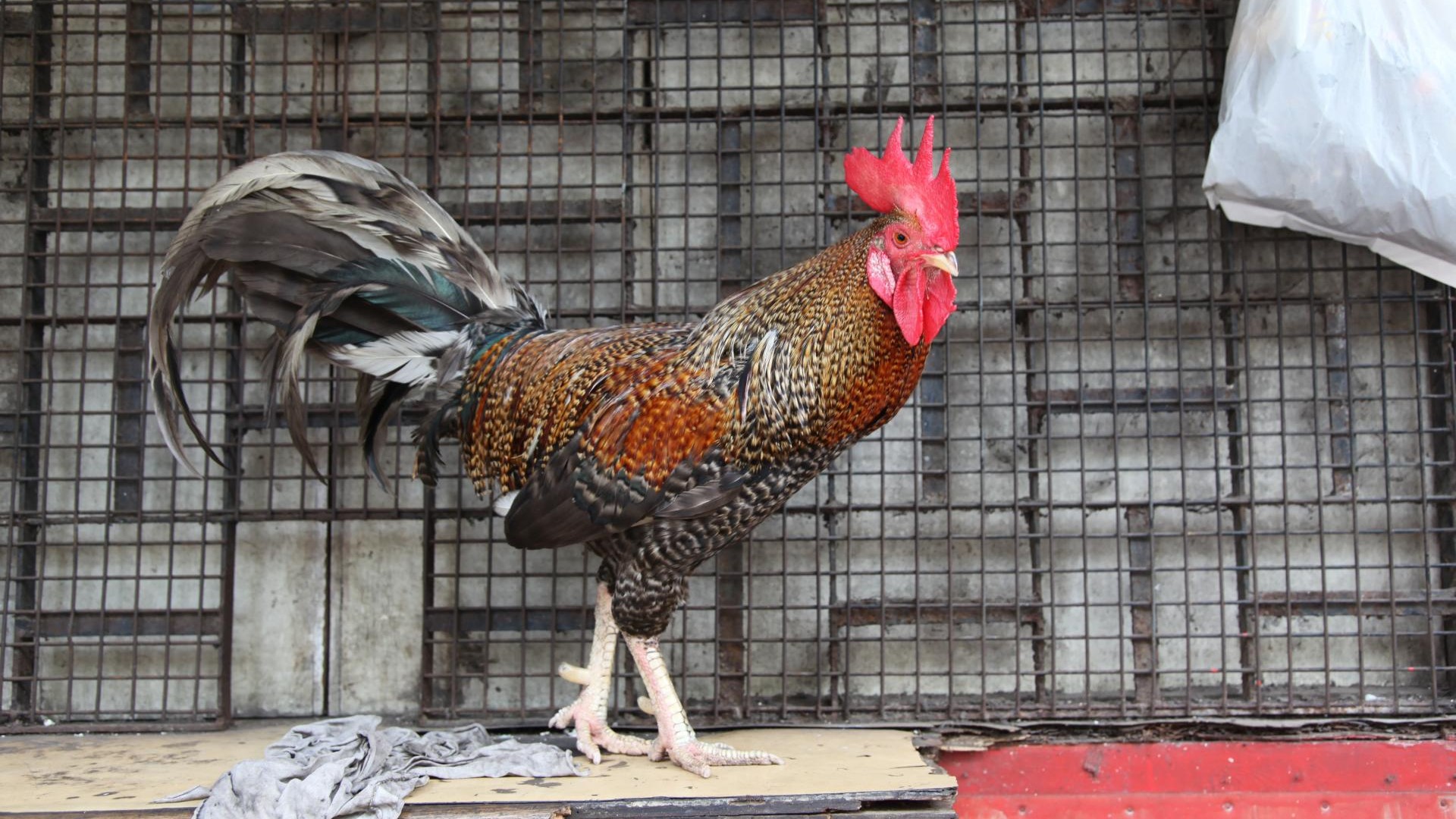 ???????????????????????????????????????????????????