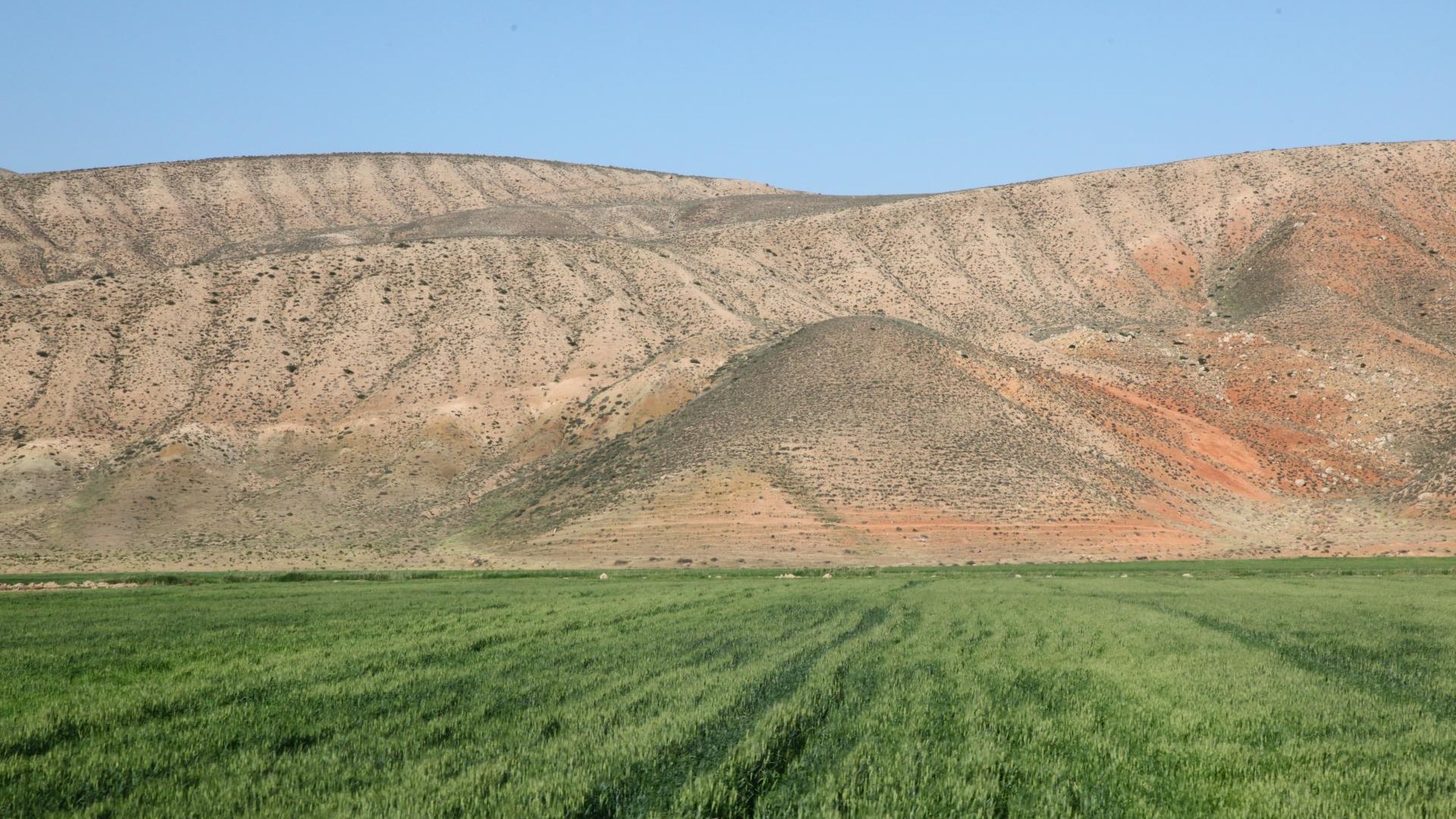 ???????????????????????????????????????????????????