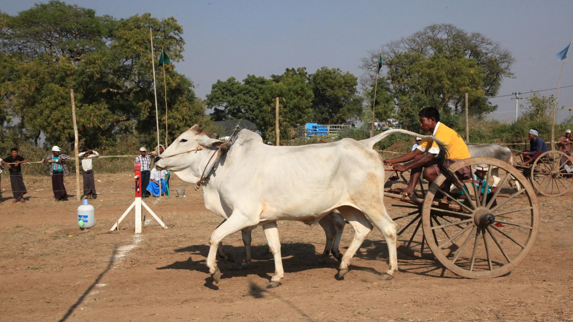 ???????????????????????????????????????????????????