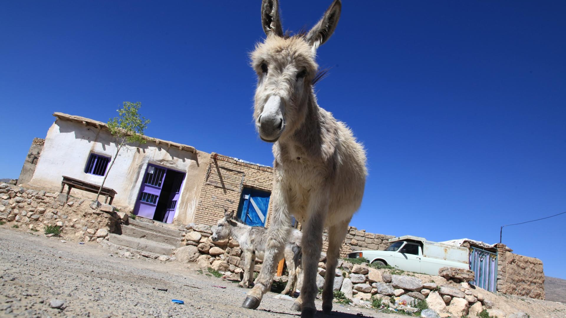 ???????????????????????????????????????????????????