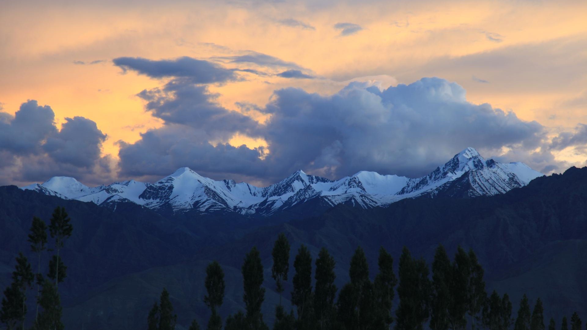 ???????????????????????????????????????????????????