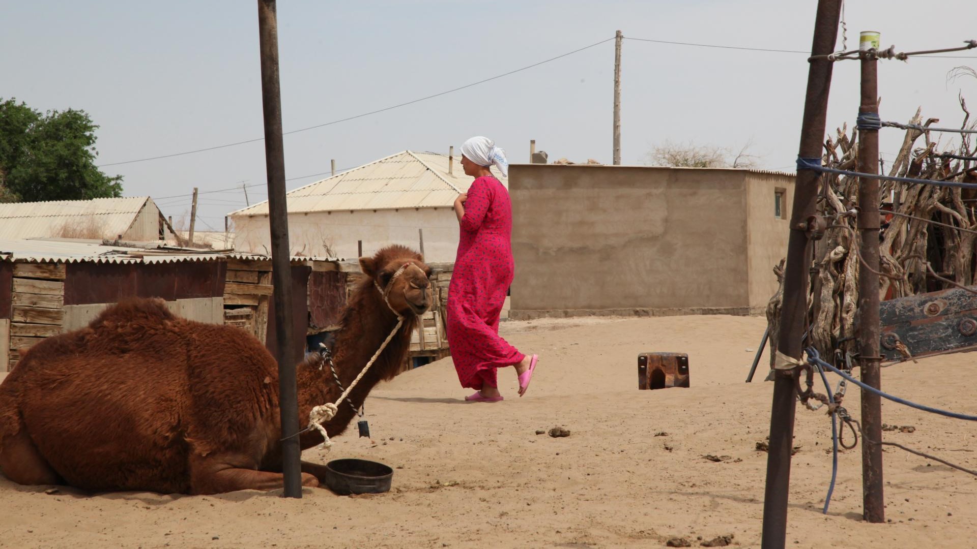 ???????????????????????????????????????????????????