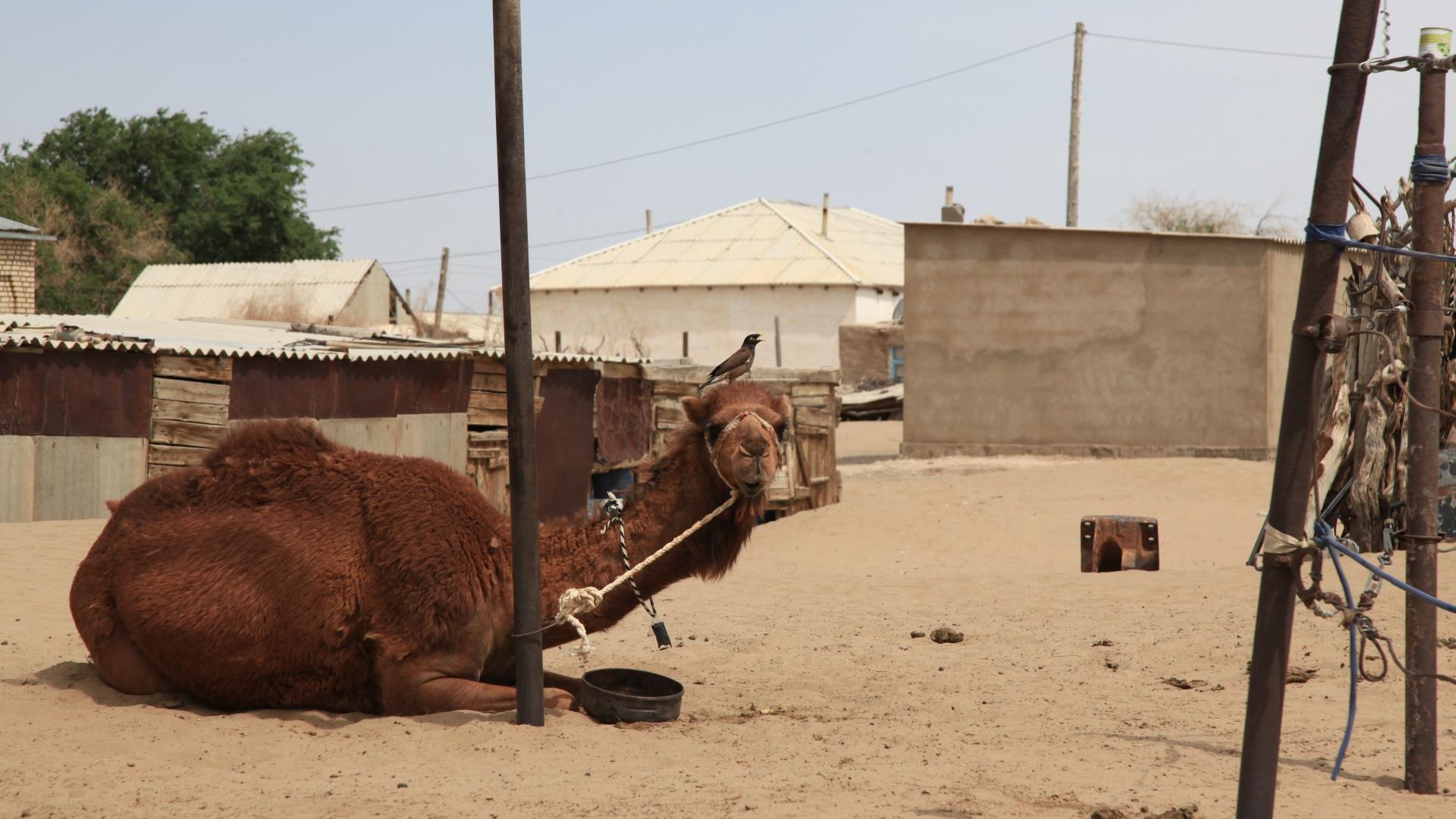 ???????????????????????????????????????????????????