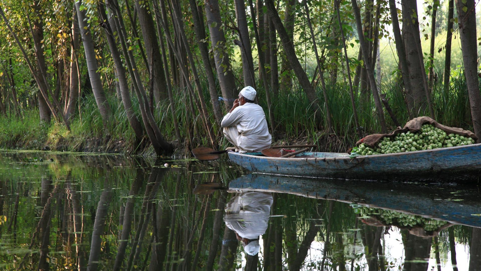Der Dal-See bei Srinagar, Jammu und Kashmir, Indien