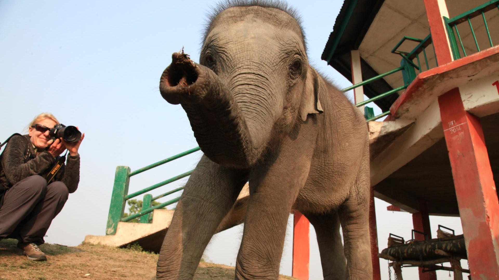 Der kleine ist neugierig. Thailand