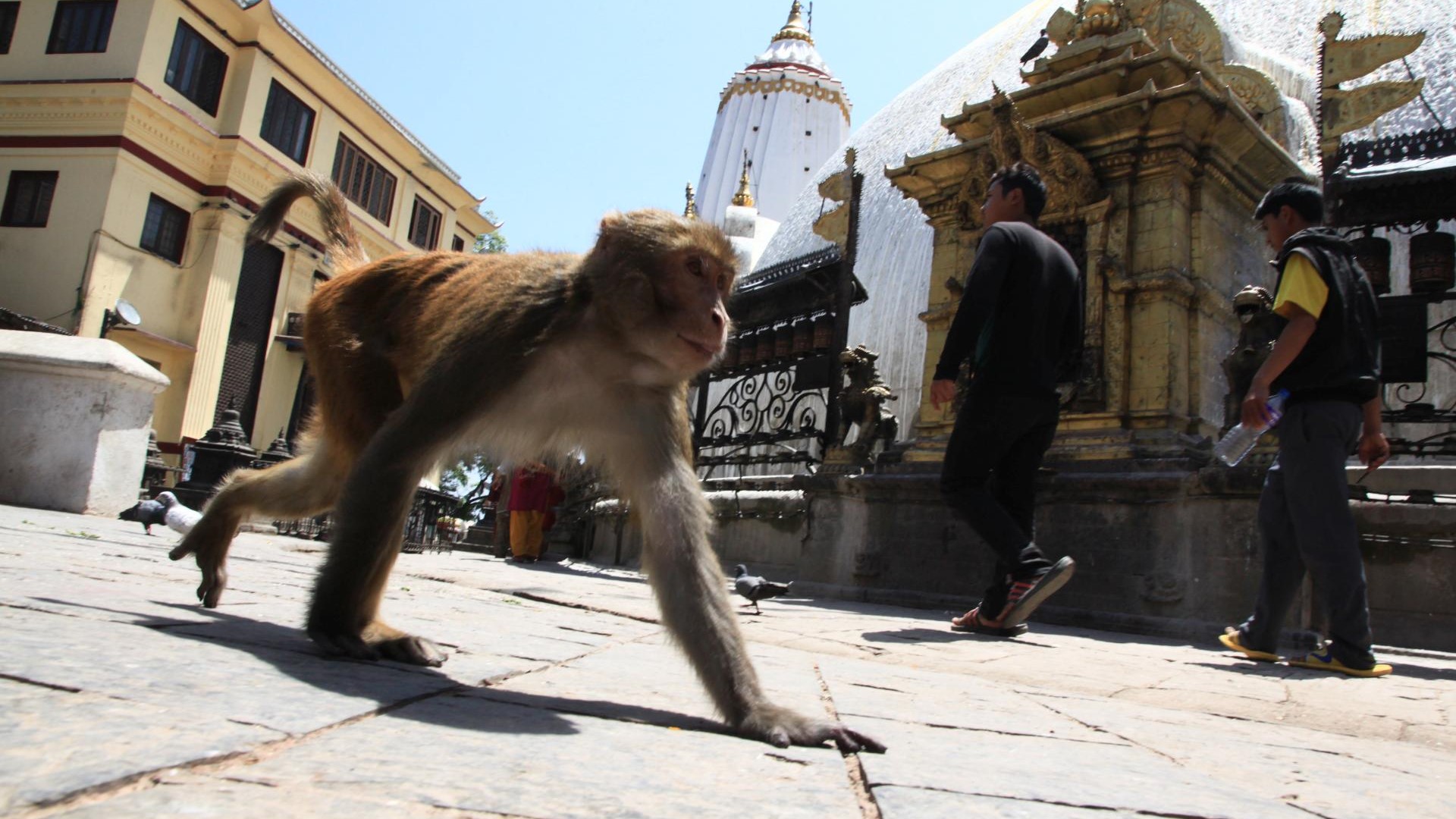 Wo war der Kollege nochmal unterwegs?