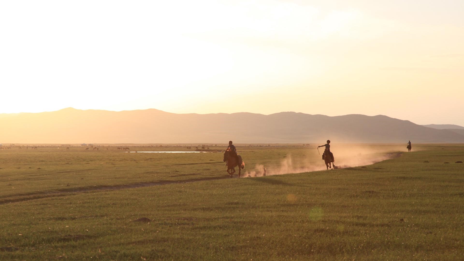 Wilder Ritt in der Mongolei.