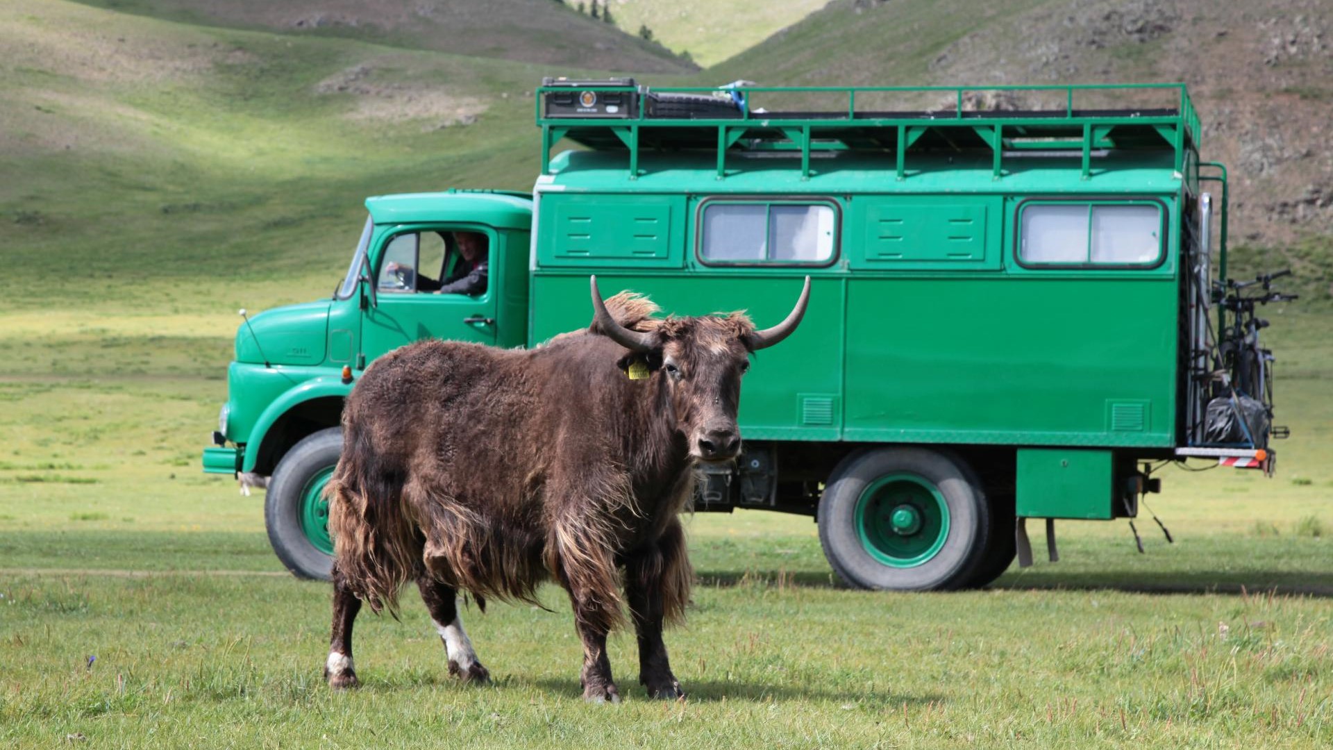 Irgendwo in der Mongolei.