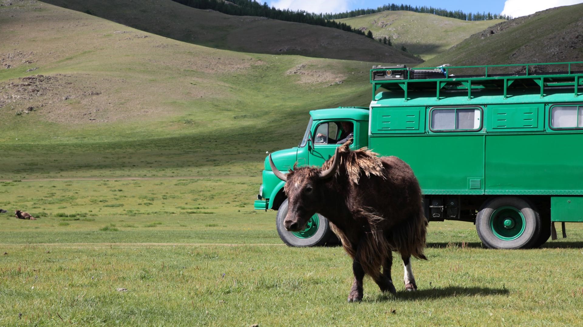 Irgendwo in der Mongolei.