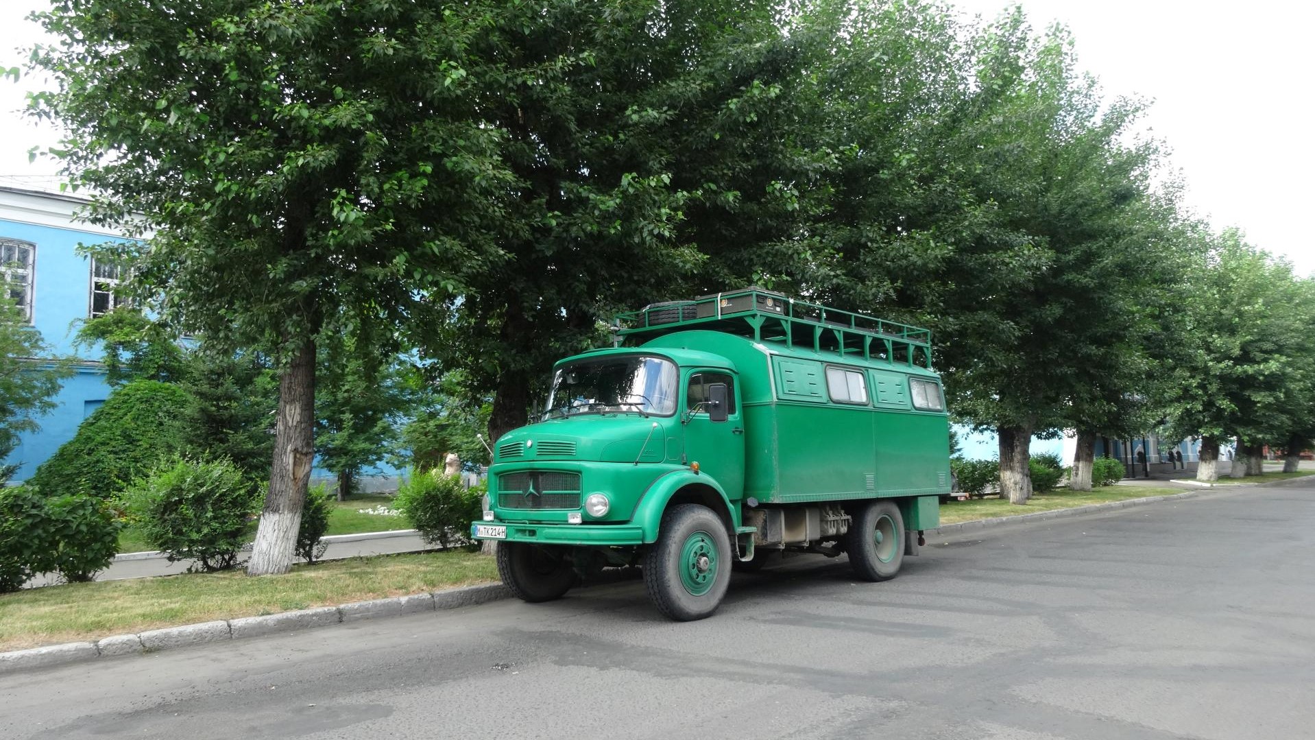 In Barnaul (Sibirien) unerträgliche Mückenplage