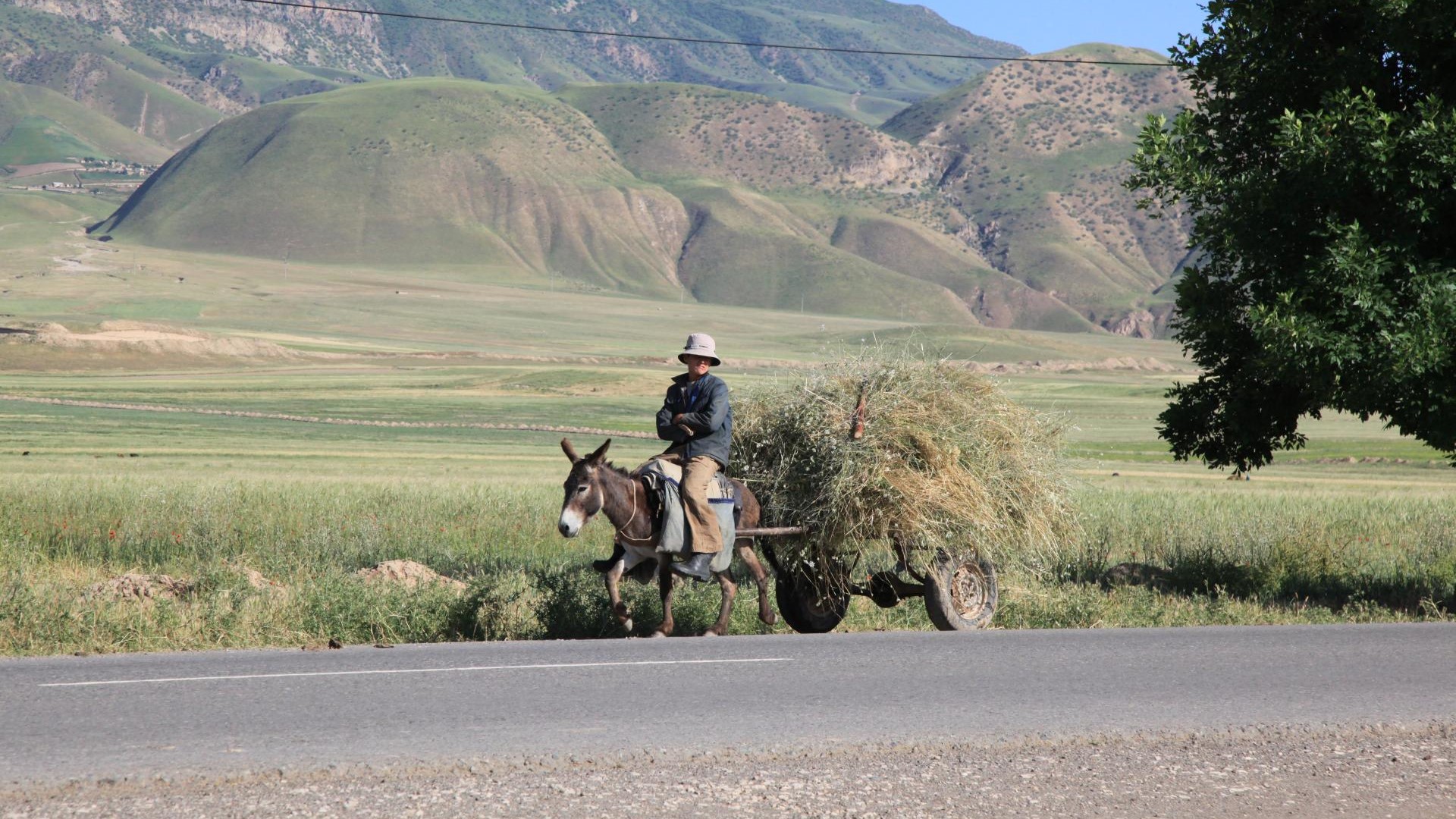 Auf dem Land in Tadschikistan