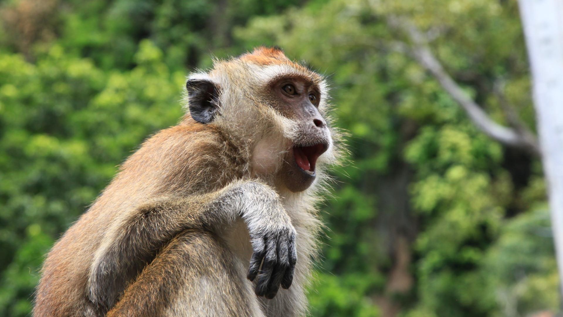 Gib mir was, oder ich nehme es mir!