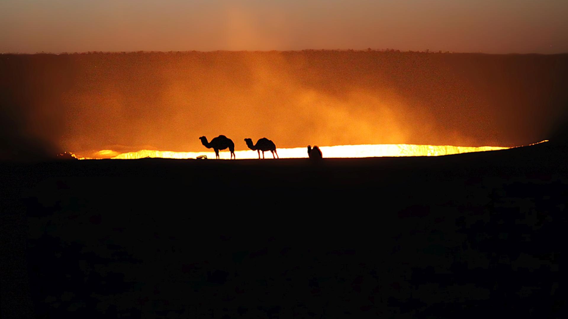 Kamele vor dem Derweze Gas Krater. Das Tor zur Hölle
(Turkmenistan)